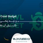 Crawl Budget چیست و چه زمانی باید نگران آن باشیم؟